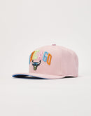 Pro Standard Chicago Bulls Snapback Hat