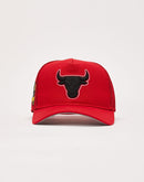 Pro Standard Chicago Bulls Trucker Hat