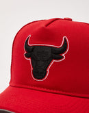 Pro Standard Chicago Bulls Trucker Hat
