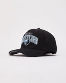Pro Standard Memphis Grizzlies Trucker Hat