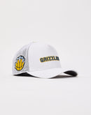 Pro Standard Memphis Grizzlies Trucker Hat