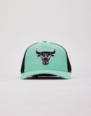 Pro Standard Chicago Bulls Trucker Hat