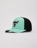 Pro Standard Chicago Bulls Trucker Hat