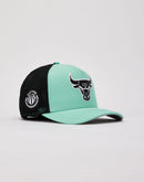Pro Standard Chicago Bulls Trucker Hat