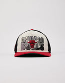 Pro Standard NBA Chicago Bulls Trucker Hat