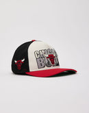 Pro Standard NBA Chicago Bulls Trucker Hat