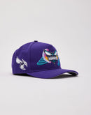 Pro Standard Charlotte Hornets Snapback Hat