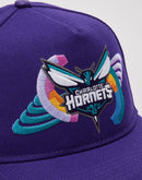 Pro Standard Charlotte Hornets Snapback Hat