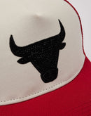 Pro Standard NBA Chicago Bulls Trucker Hat