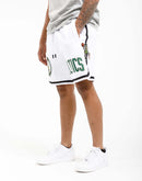 Pro Standard Boston Celtics Pro Team Shorts