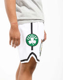 Pro Standard Boston Celtics Pro Team Shorts