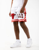 Pro Standard NBA Chicago Bulls Pro Team Shorts