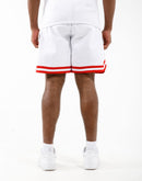 Pro Standard NBA Chicago Bulls Pro Team Shorts