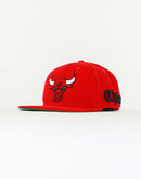 Pro Standard Chicago Bulls City Script Snapback