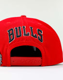 Pro Standard Chicago Bulls City Script Snapback