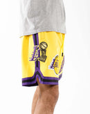 Pro Standard Los Angeles Lakers Pro Team Shorts