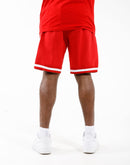 Pro Standard Mlb Cincinnati Reds Logo Pro Team Shorts