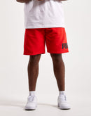 Puma Big Fleece Logo Shorts