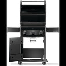 Rogue® 425 Grill