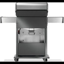Rogue® 425 Grill