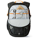 Lowepro Ridgeline Pro BP 300 AW Backpack (Black)