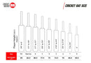 SS Slogger Kashmir Willow Cricket Bat with Bat Cover