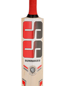SS Slogger Kashmir Willow Cricket Bat with Bat Cover
