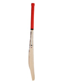 SS Slogger Kashmir Willow Cricket Bat with Bat Cover