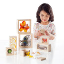 Treasure Blocks - Clear