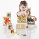 Treasure Blocks - Clear