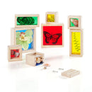 Treasure Blocks - Primary