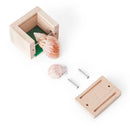 Treasure Blocks - Primary
