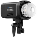 Westcott FJ250 250Ws Touchscreen Strobe with FJ Pro AC/DC Battery