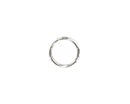 Echo V490001240 Clip 6