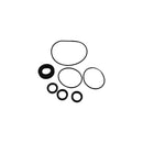 Vortexx RK Series Pump Oil Seal Kit AR1855