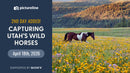 Capturing Utah's Wild Horses—April 18th, 2026