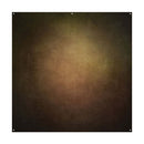 Westcott X-Drop Pro Fabric Backdrop - Warm Painterly by Joel Grimes (8' x 8')