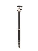 MeFOTO RoadTrip Travel Tripod Kit (Gold)