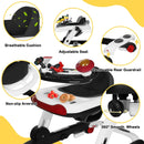 5-in-1 Baby Walker with Music & Lights, Activity Walker for Toddler - Black