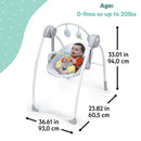 Disney Baby Winnie the Pooh Milestone Swing Classic Pals