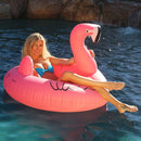 Party Tube Inflatable Raft - Flamingo