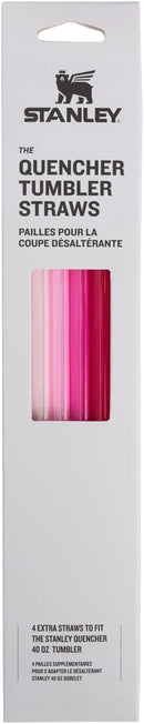 Quencher Tumbler Replacement Straws - 4-Pack