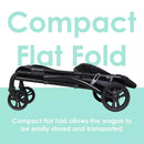 Expedition LTE 2-in-1 Stroller Wagon - Madrid Black