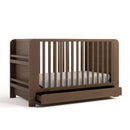Convertible 4-in-1 Bookshelf Crib with Drawer - Hazelnut