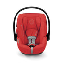 Cloud G Lux Infant Car Seat - Hibiscus Red