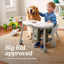 Table2Table LX 6-in-1 Standard High Chair - Willow - Willow