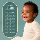 58 CT 58 Count Amore Diaper Size 4 (15-34 lbs)
