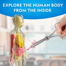 National Geographic Glow-In-The-Dark Human Body: Science Kit & Activity Guide for Anatomy Learning