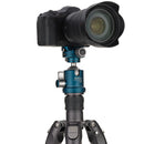 Benro NOVOFLEX NBBH Series 3 Ball Head