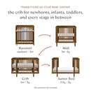 Pogo 8-in-1 Convertible Crib with All-Stages Conversion Kits - Natural Walnut